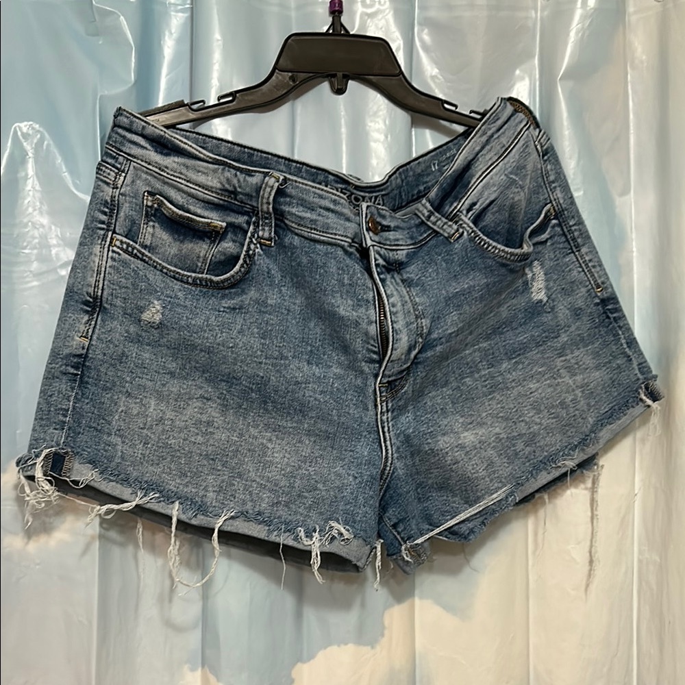 Arizona Jean Company Distressed Blue Jean Shorts